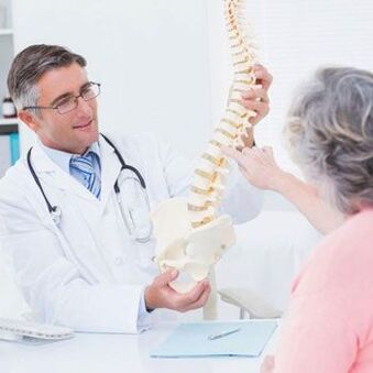 Η δομή της σπονδυλικής στήλης